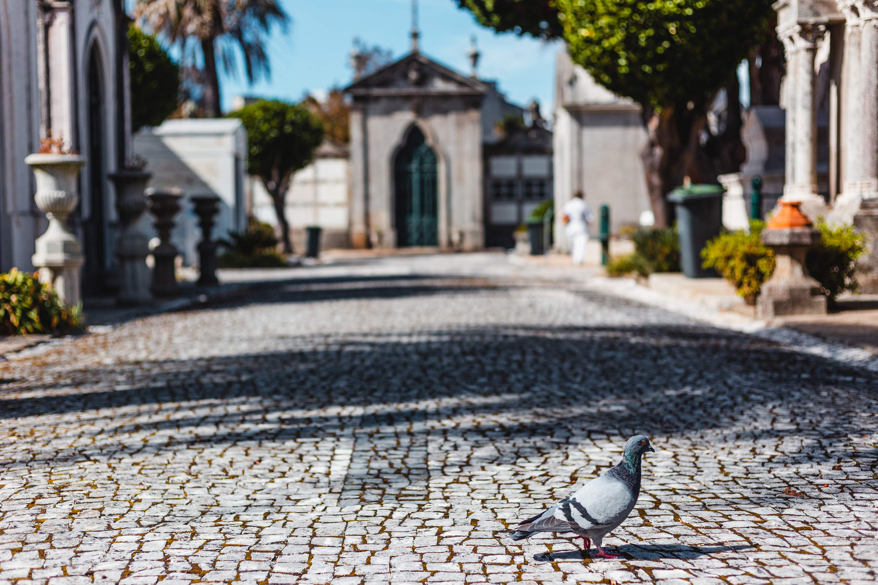 girls-on-tour-porto-travel-photography-87