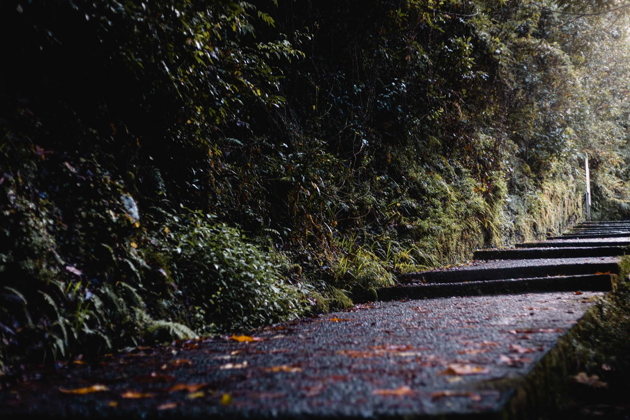 madeira-travel-photography-trails-waterfalls_04