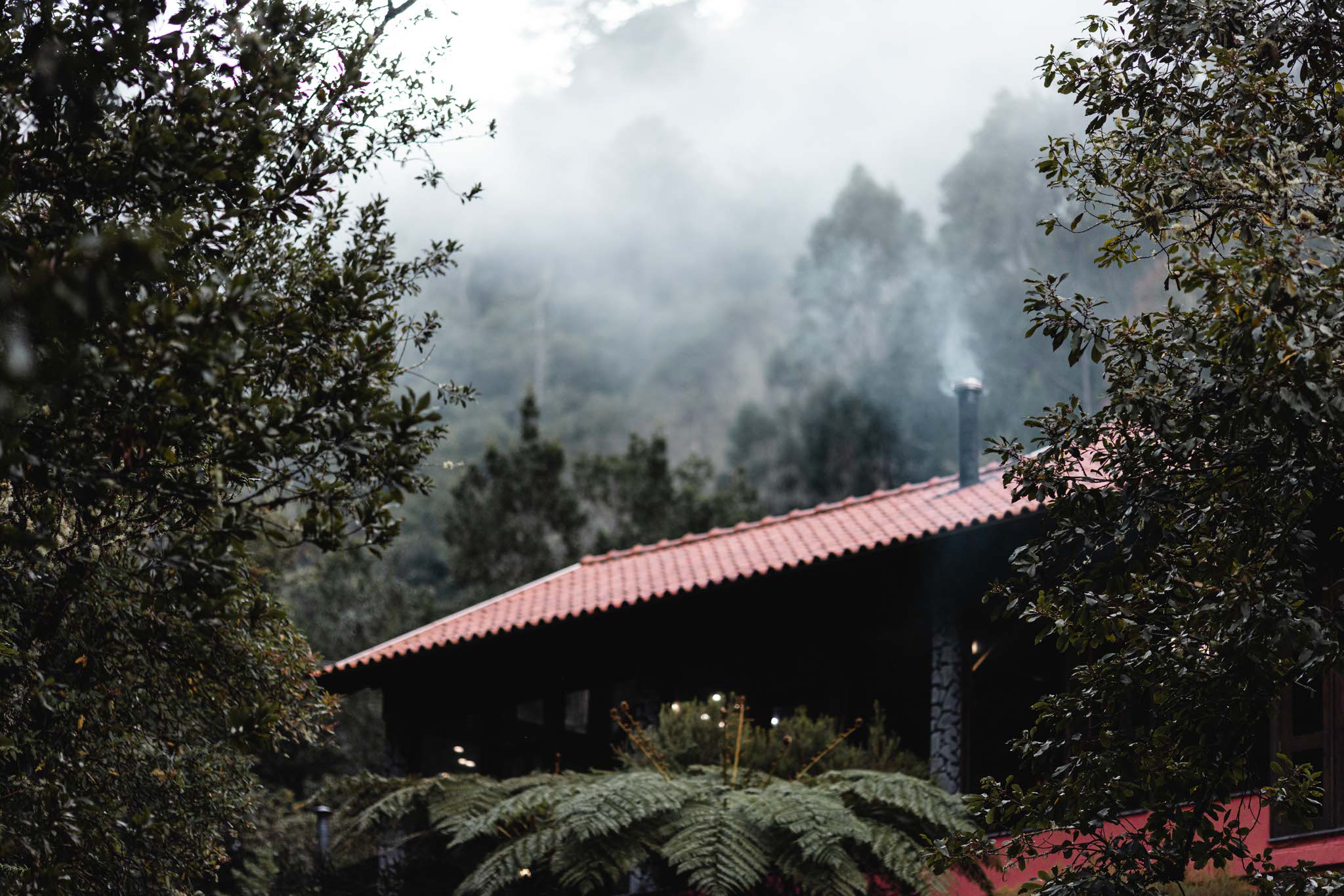 madeira-travel-photography-trails-waterfalls_07