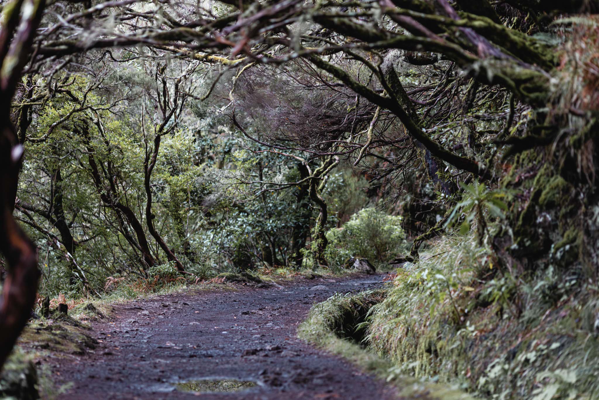 madeira-travel-photography-trails-waterfalls_17