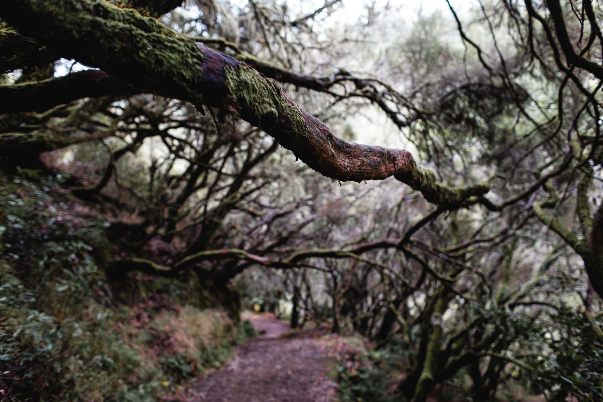 madeira-travel-photography-trails-waterfalls_27