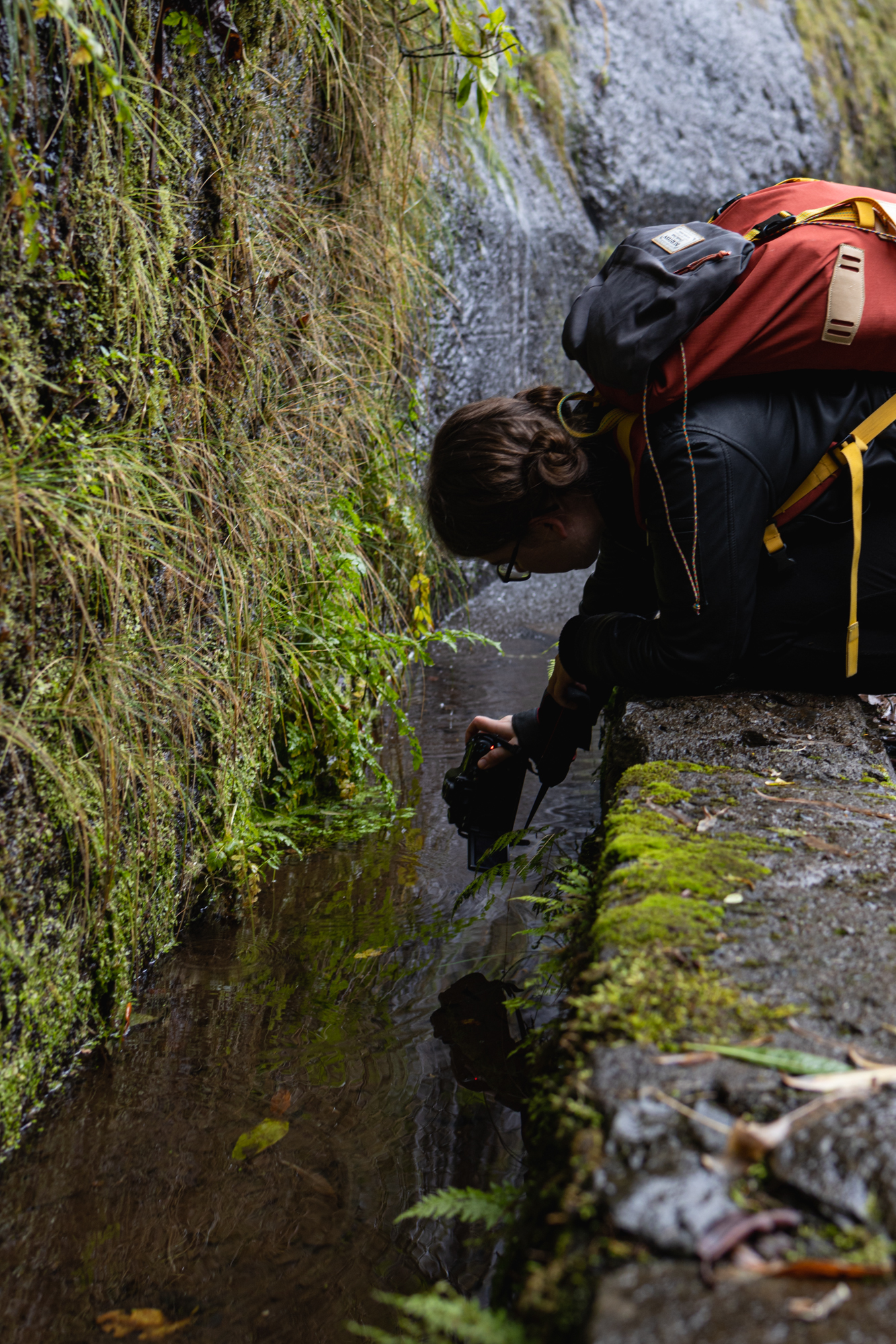 madeira-travel-photography-trails-waterfalls_63