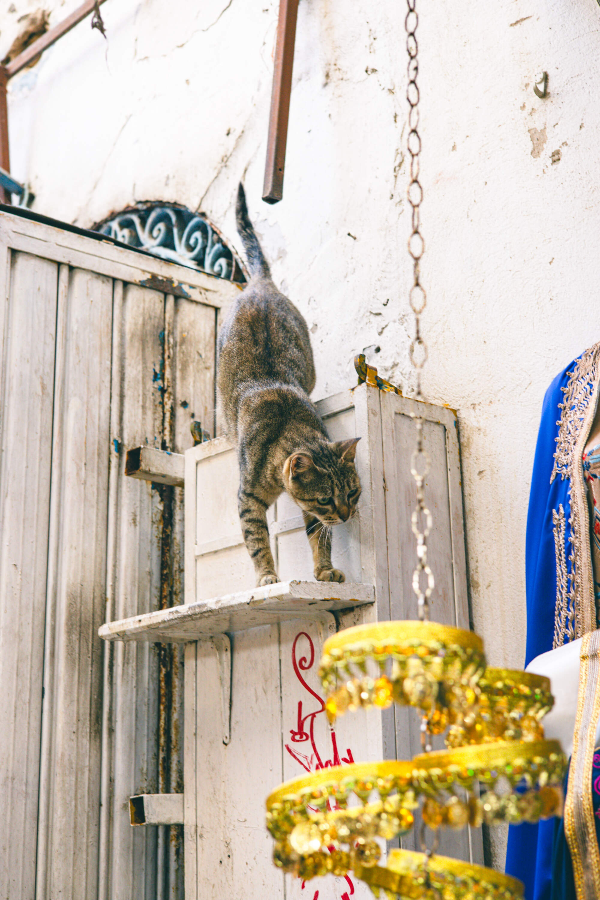 gegenwind_travel_photography_tunis_medina_073