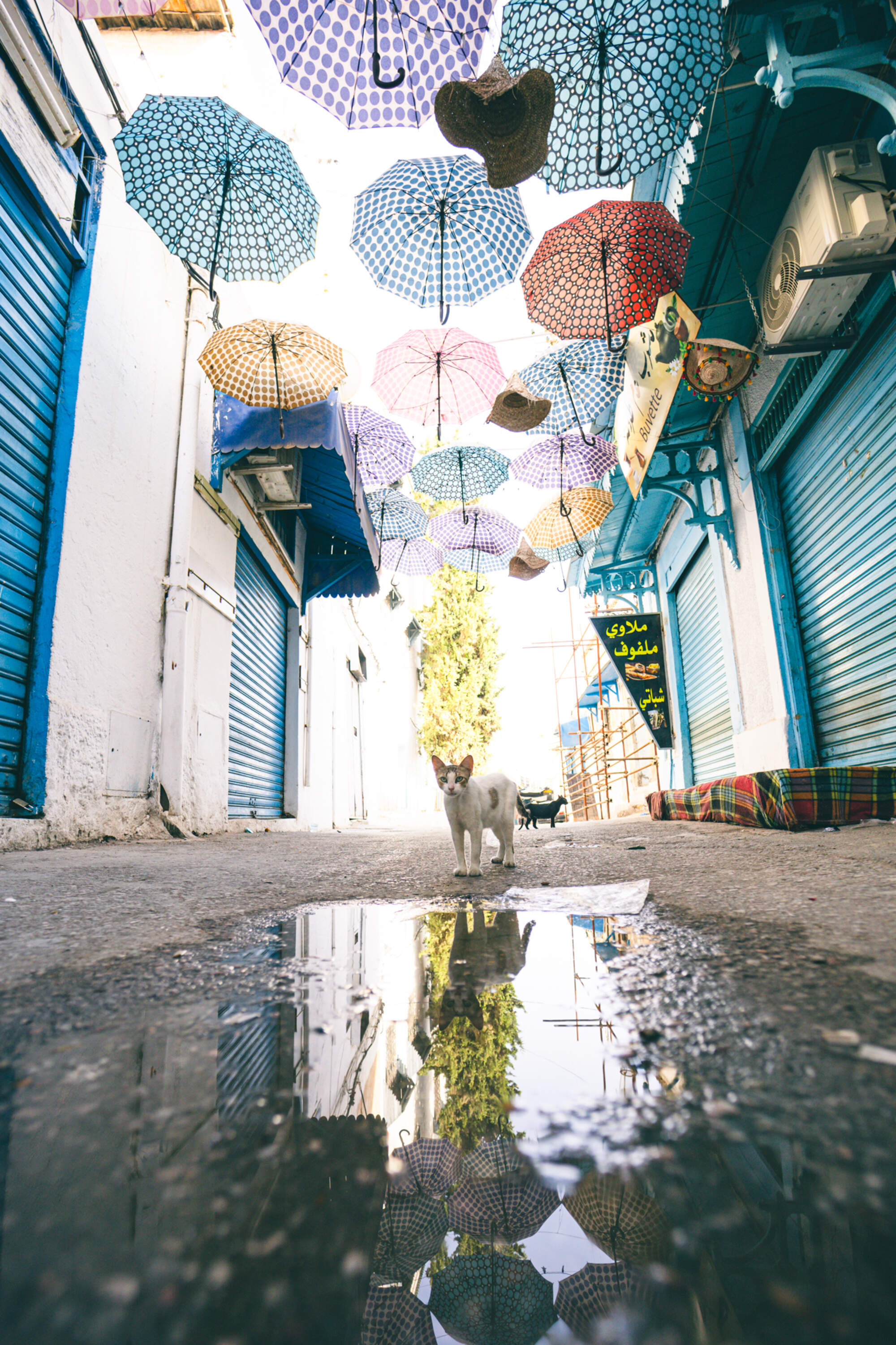 gegenwind_travel_photography_tunis_medina_107