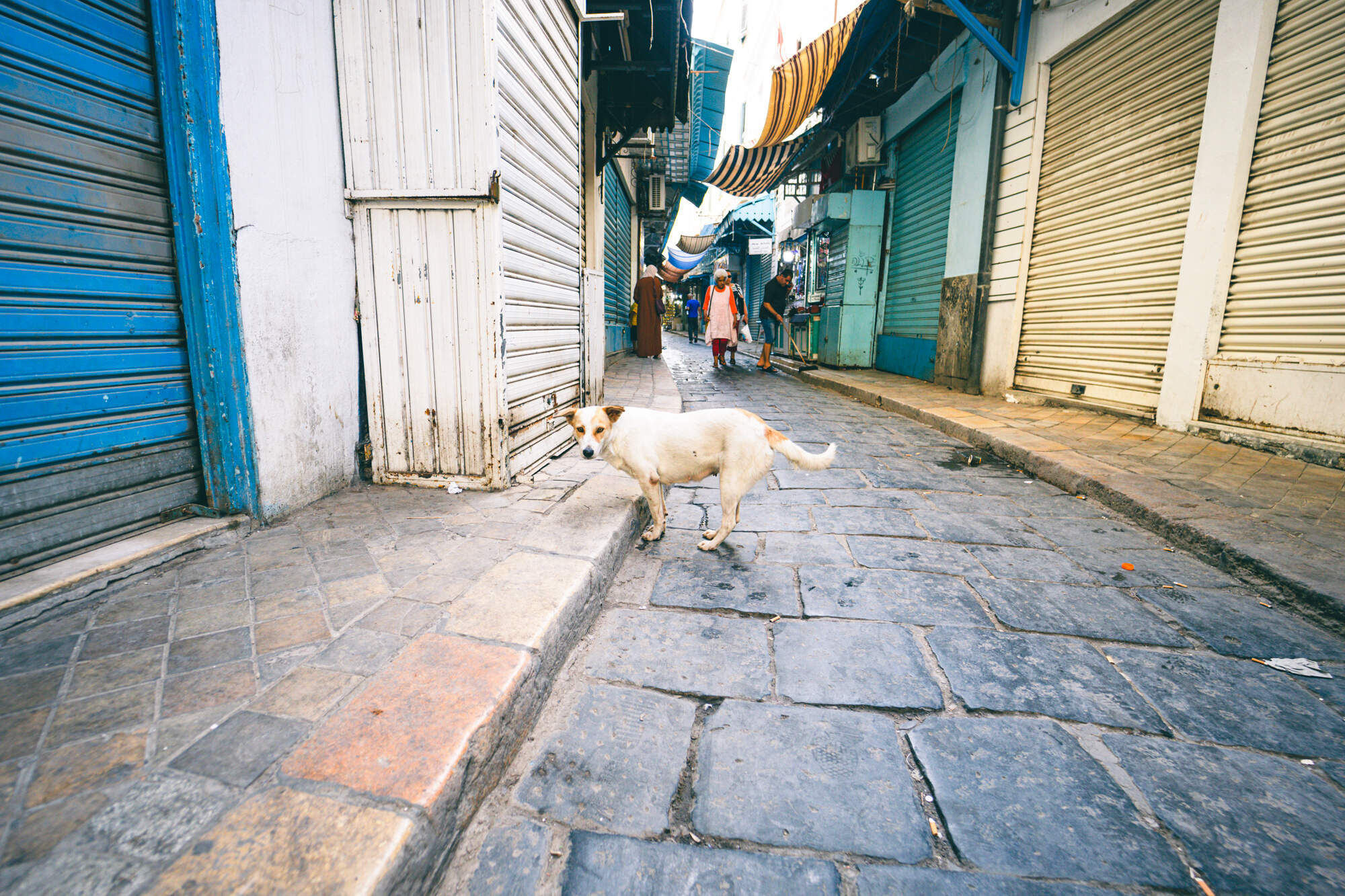 gegenwind_travel_photography_tunis_medina_109