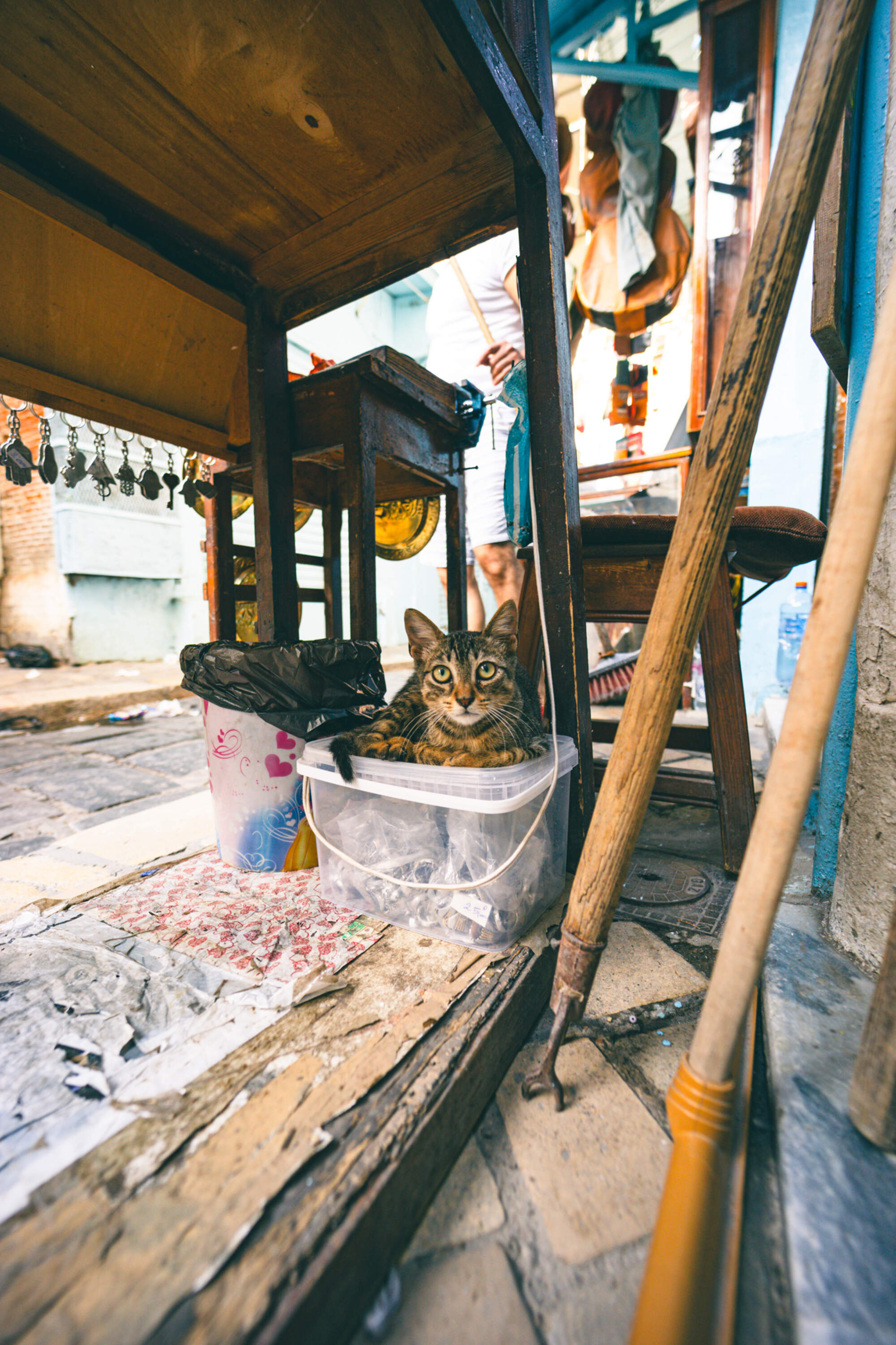 gegenwind_travel_photography_tunis_medina_1108