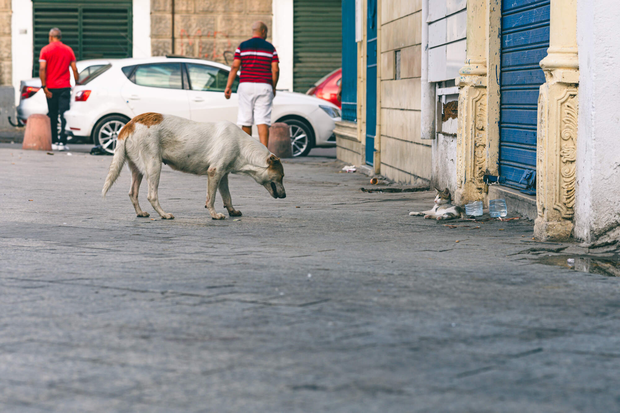 gegenwind_travel_photography_tunis_medina_118