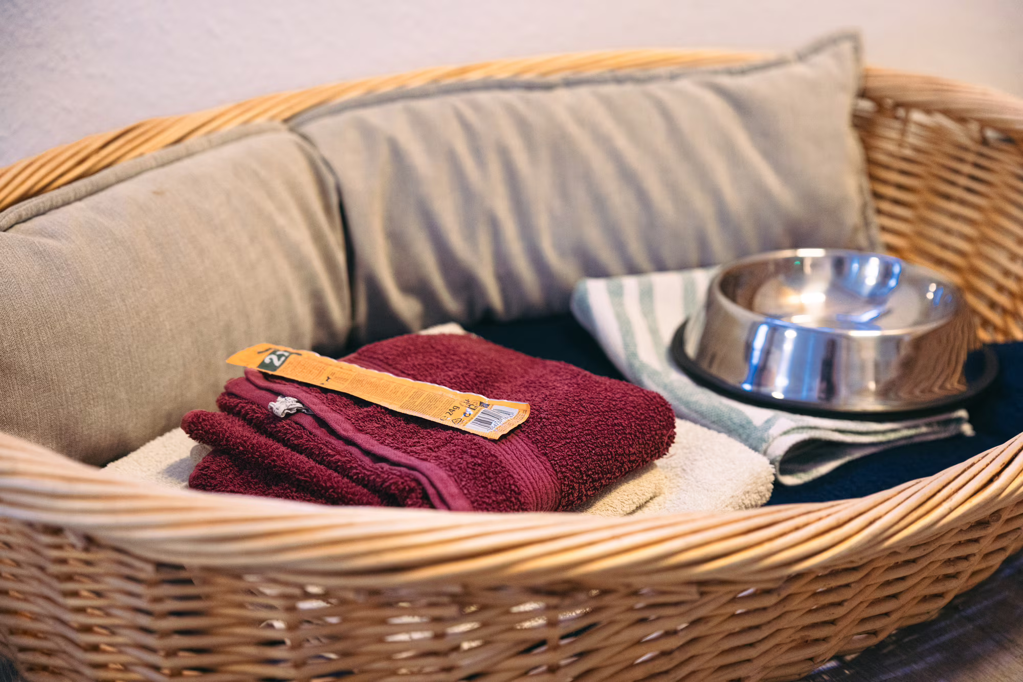 boek-germany-airbnb-dogs