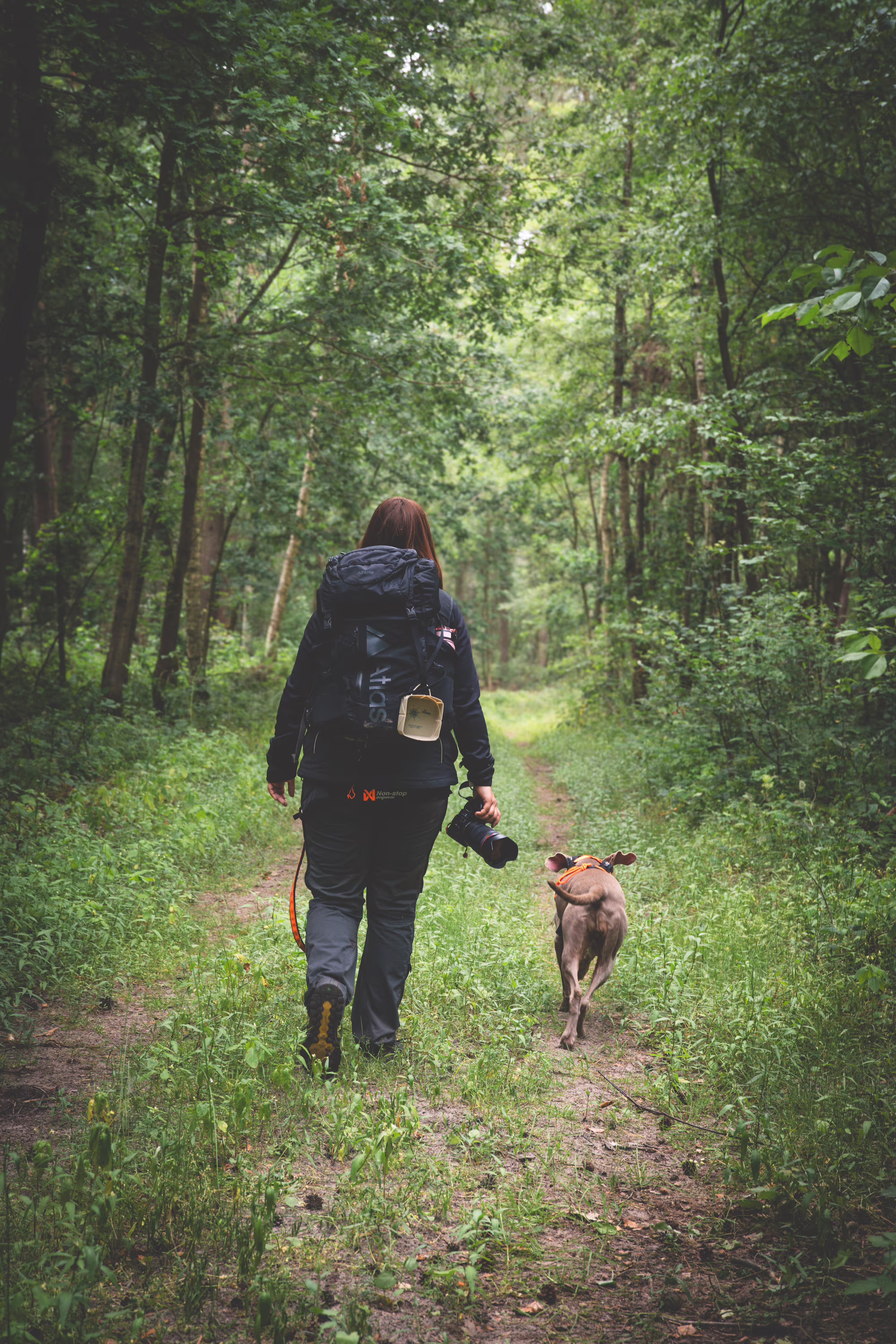 gegenwind-photography-dog-non-stop-dogwear-canix-belt