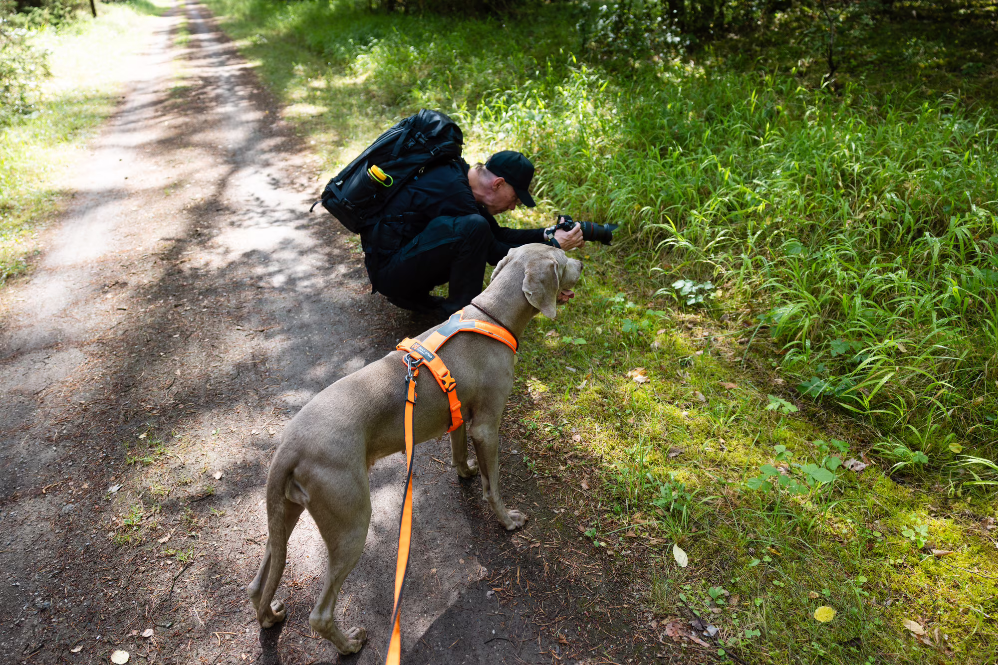 gegenwind-travel-photography-handsfree-belt-dog