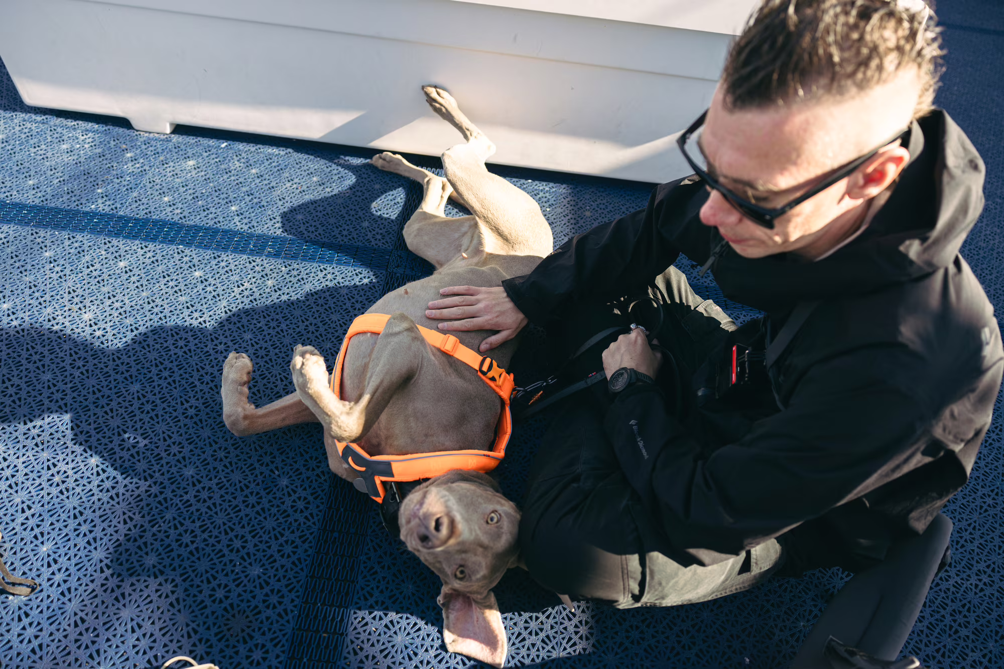 gegenwind-travelling-with-dog-taking-the-ferry