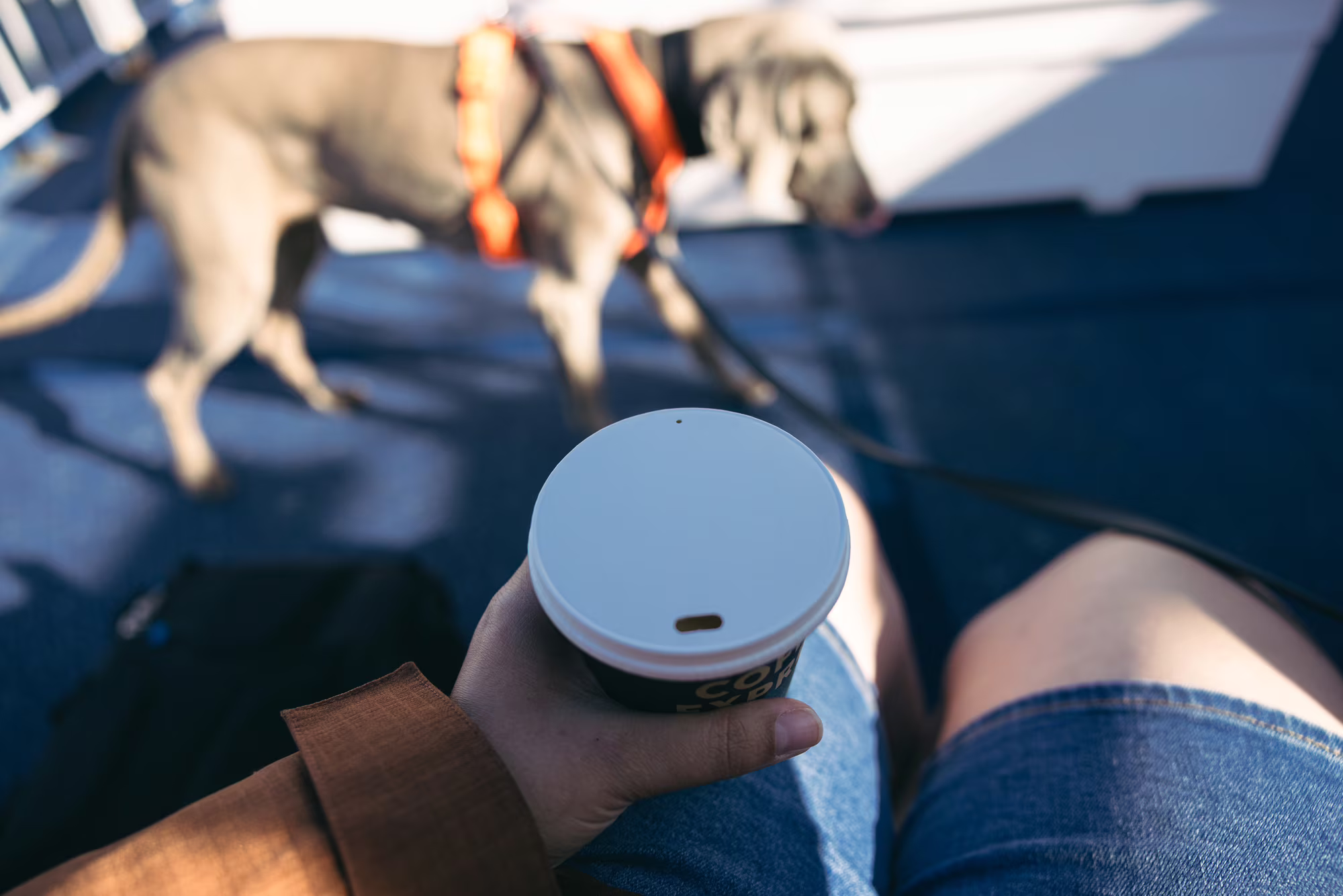 gegenwind-travelling-with-dog-taking-the-ferry