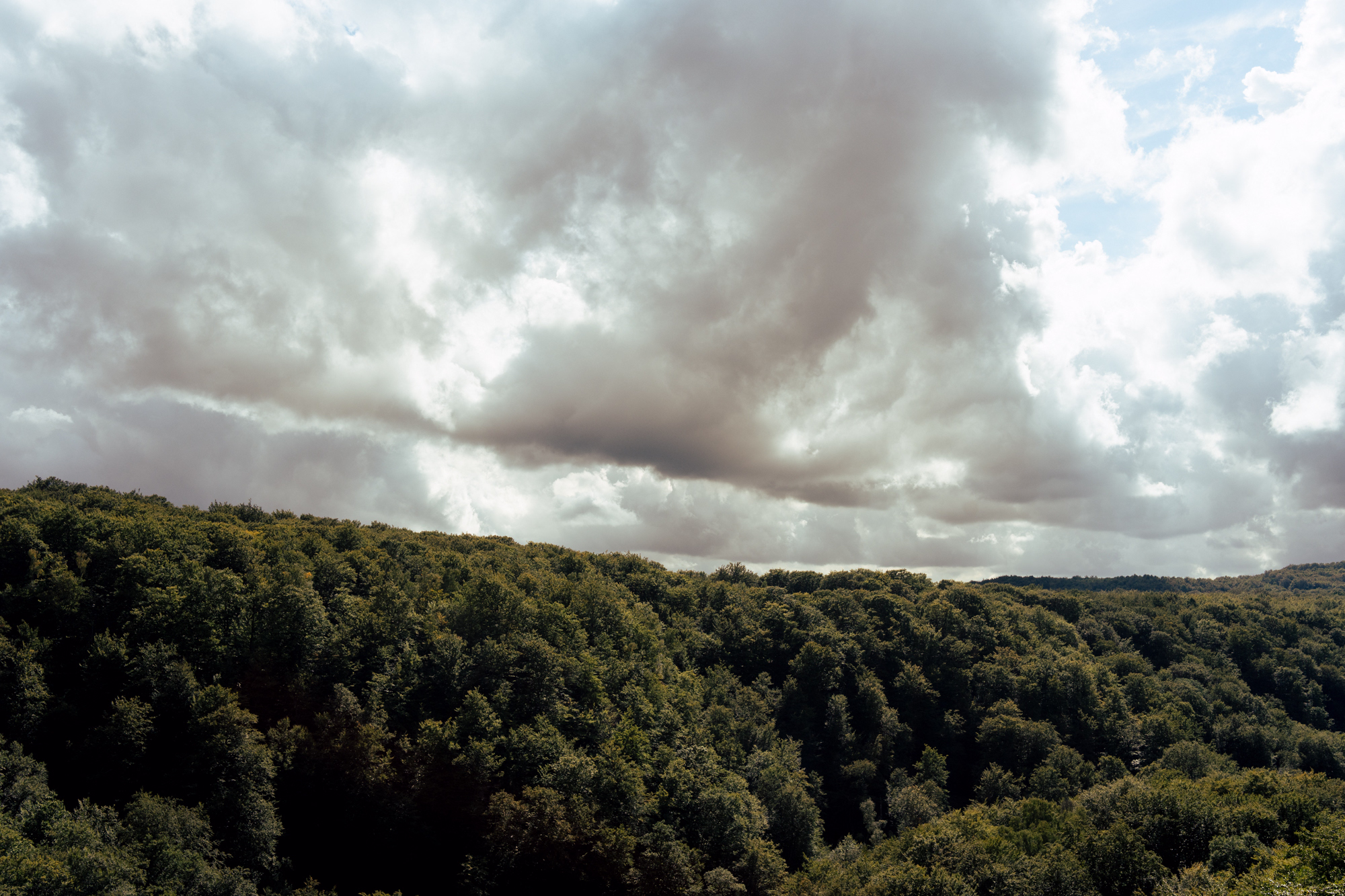 dramatic skies