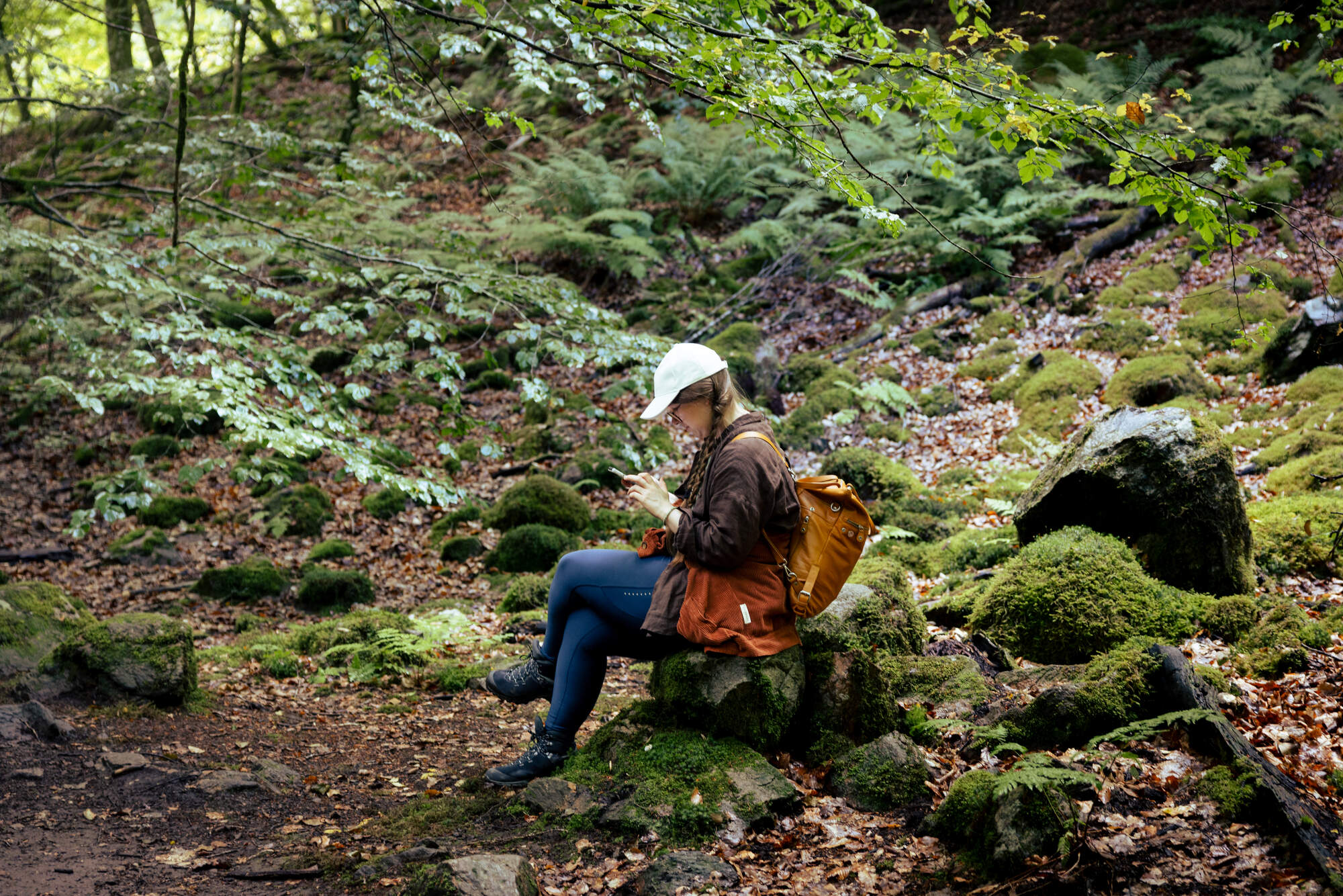 hiking-fantasy-forest-soederaasen-national-park-sweden