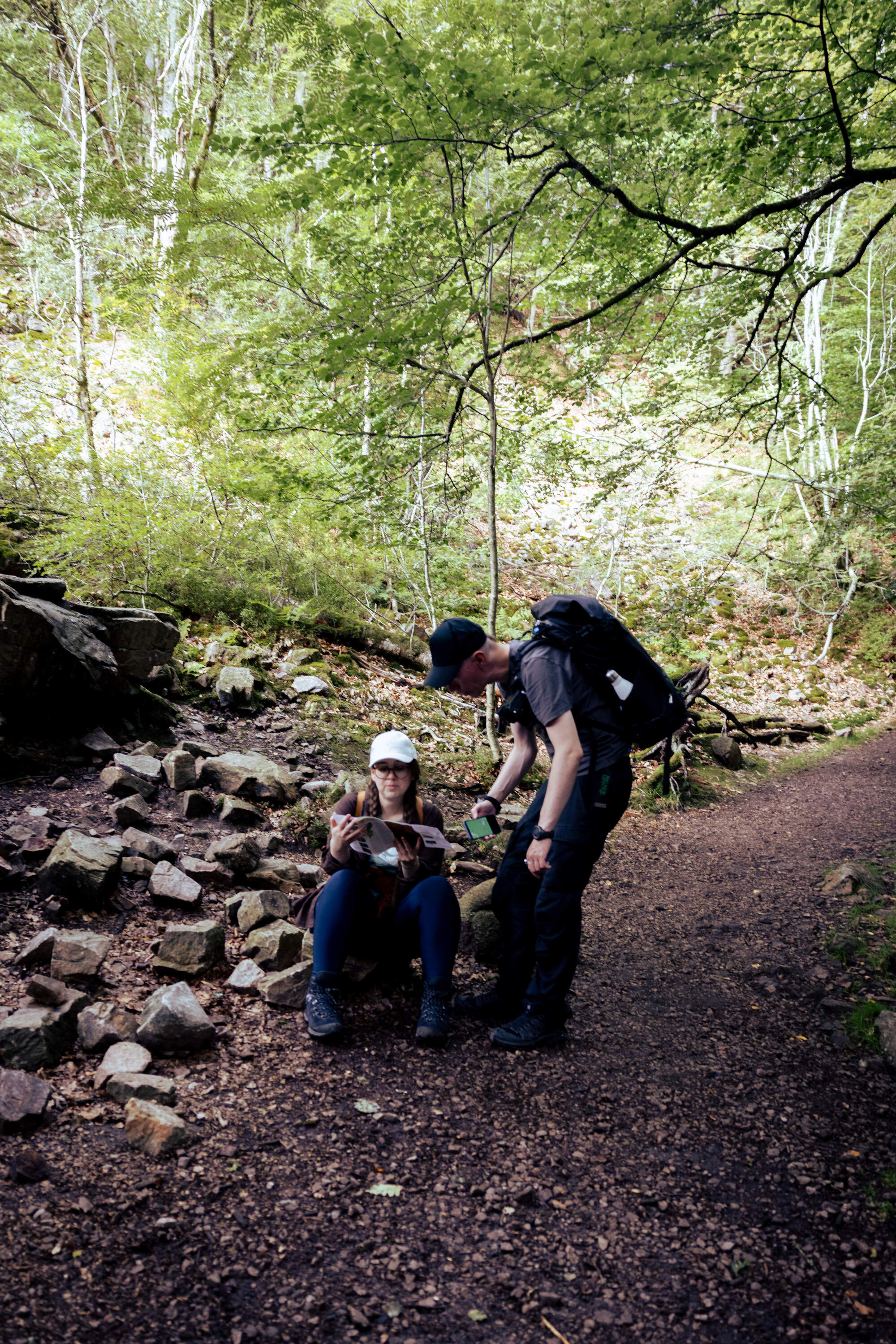 hiking-fantasy-forest-soederaasen-national-park-sweden