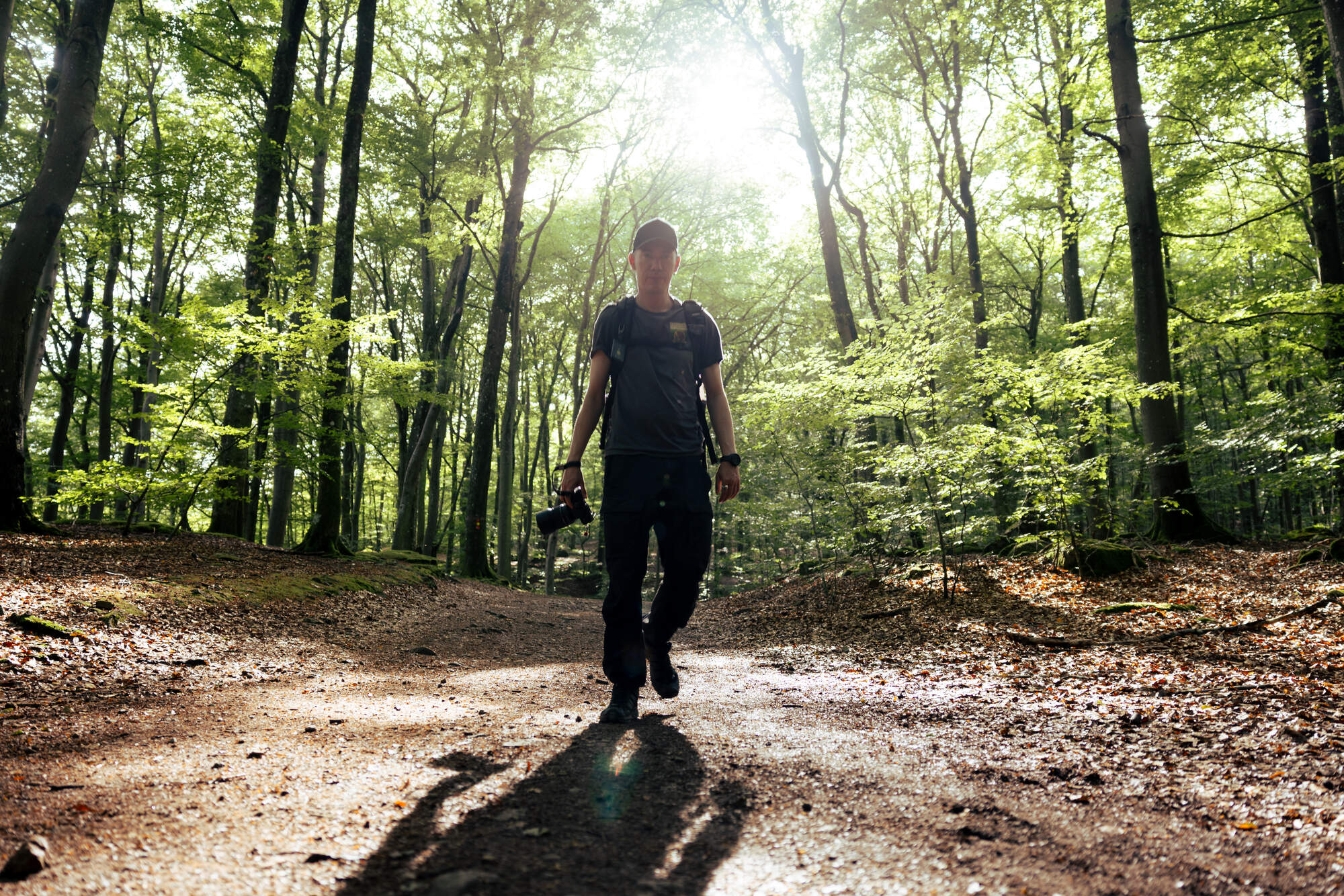 hiking-fantasy-forest-soederaasen-national-park-sweden